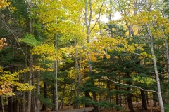 Maine 2018 Acadia National Park