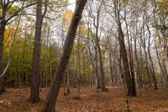 Maine 2018 Acadia National Park
