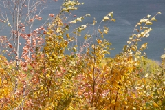 Maine 2018 Acadia National Park