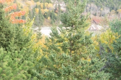 Maine 2018 Acadia National Park