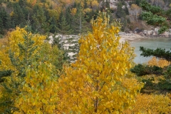 Maine 2018 Acadia National Park