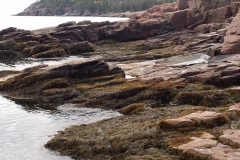 Maine 2018 Acadia National Park