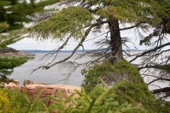 Maine 2018 Acadia National Park