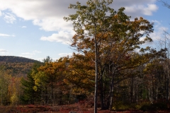 Maine 2018 Acadia National Park