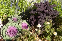 Maine 2018 Bar Harbor