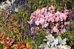 Maine 2018 Bar Harbor