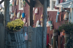 Maine 2018 Bar Harbor