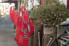 Maine 2018 Bar Harbor