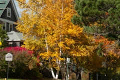 Maine 2018 Bar Harbor