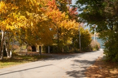 Maine 2018 Bar Harbor