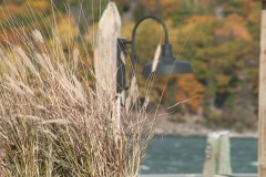 Bar Harbor