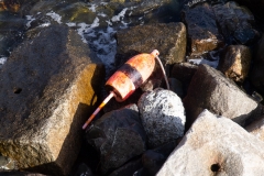 Maine 2018 Bar Harbor