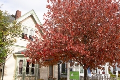 Maine 2018 Bar Harbor