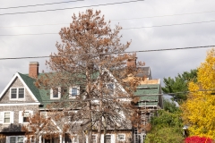 Maine 2018 Bar Harbor