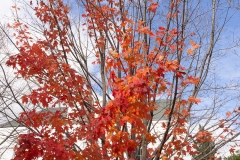 Maine 2018 Bar Harbor