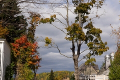 Maine 2018 Bar Harbor