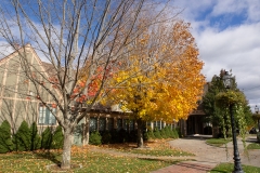 Maine 2018 Bar Harbor