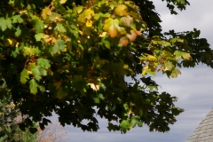 Maine 2018 Bar Harbor