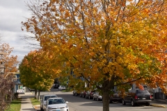 Maine 2018 Bar Harbor