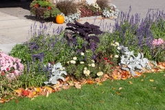 Maine 2018 Bar Harbor