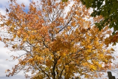 Maine 2018 Bar Harbor