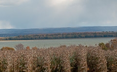 Quebec 2018 Isle d'Orleans