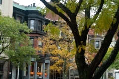Boston 2018