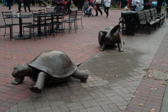 Boston 2018