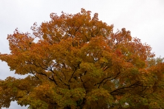 Quebec 2018 Quebec City