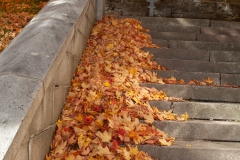 Quebec 2018 St. Annes Cathedral