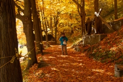 Quebec 2018 St. Annes Cathedral