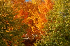 Quebec 2018 St. Annes Cathedral