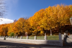 Quebec 2018 St. Annes Cathedral