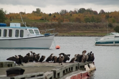 Nova Scotia 2018 Sydney and Cabbot Trail