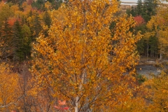 Nova Scotia 2018 Sydney and Cabbot Trail