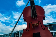 Fiddle Sydney NS