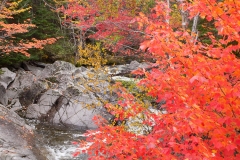 Nova Scotia 2018 Sydney and Cabbot Trail