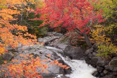 Nova Scotia 2018 Sydney and Cabbot Trail