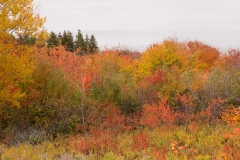 Nova Scotia 2018 Sydney and Cabbot Trail