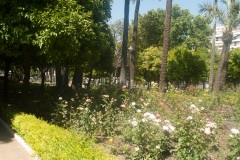 2019-06-09 Cordoba Spain