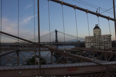 2019-09 NYC