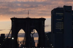 2019-09 NYC