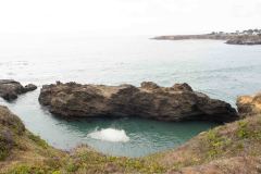 OR-and-CA-Trip-101-B9096415