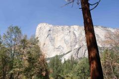 OR-and-CA-Trip-112-B9136474