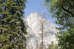 OR-and-CA-Trip-115-B9136483