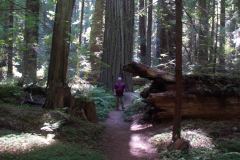 OR-and-CA-Trip-13-_3016306