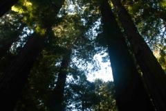 OR-and-CA-Trip-19-_3016330