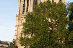 2022 Paris: Notre Dame