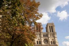 Notre-Dame-7-B8267663