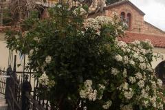 Athens-First-Day-2-B2289262